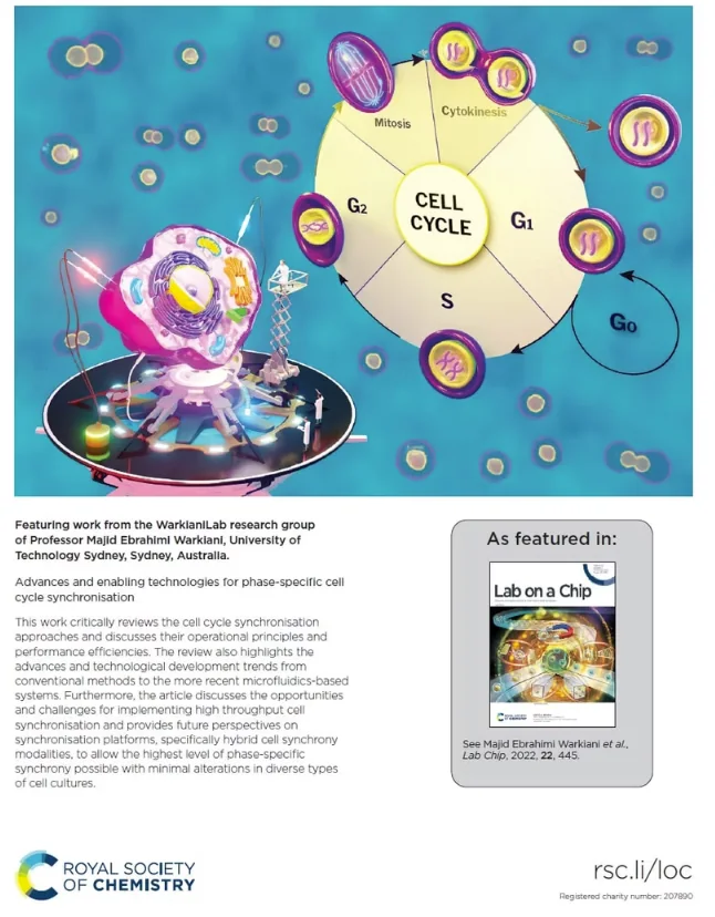 Cell cycle and molecular illustration cover art