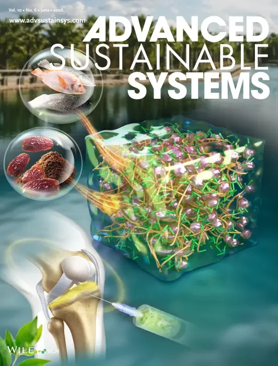 Advanced Sustainable Systems cover art for nanocellulose–collagen hydrogels